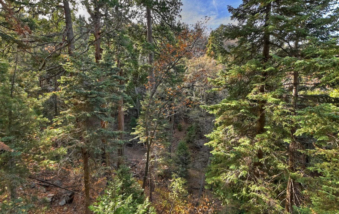 Arrowhead Villas Cabin with A Plus One. Go Lake Arrowhead