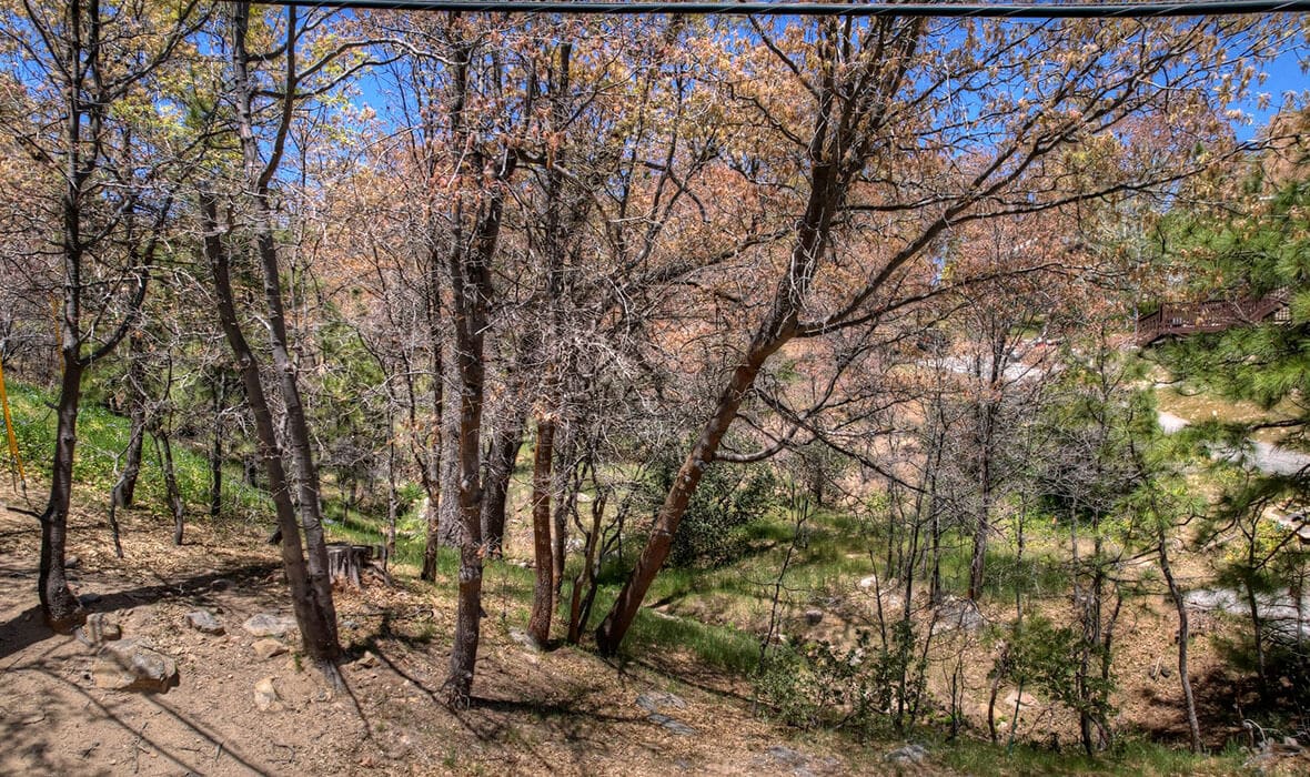 arrowhead-approved-plans-for-west-shore-dream_5