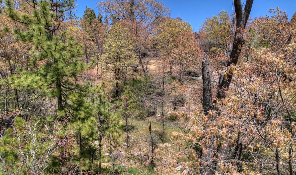 arrowhead-approved-plans-for-west-shore-dream_6