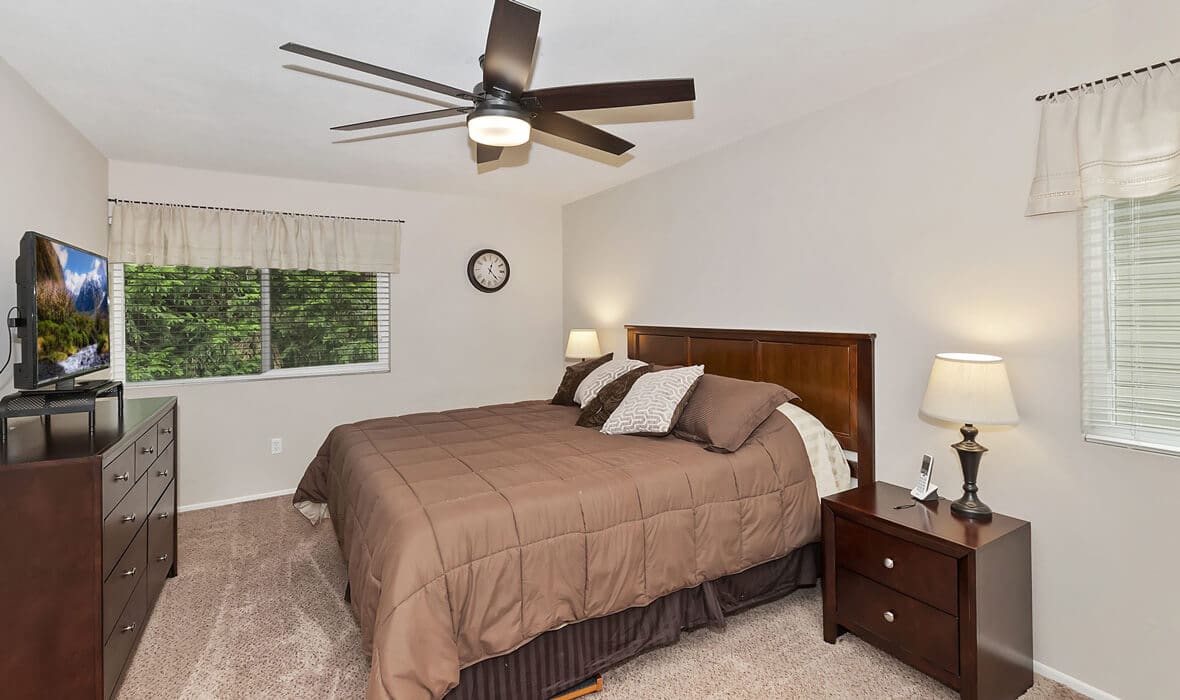 towering-cedars-and-whispering-pines_15