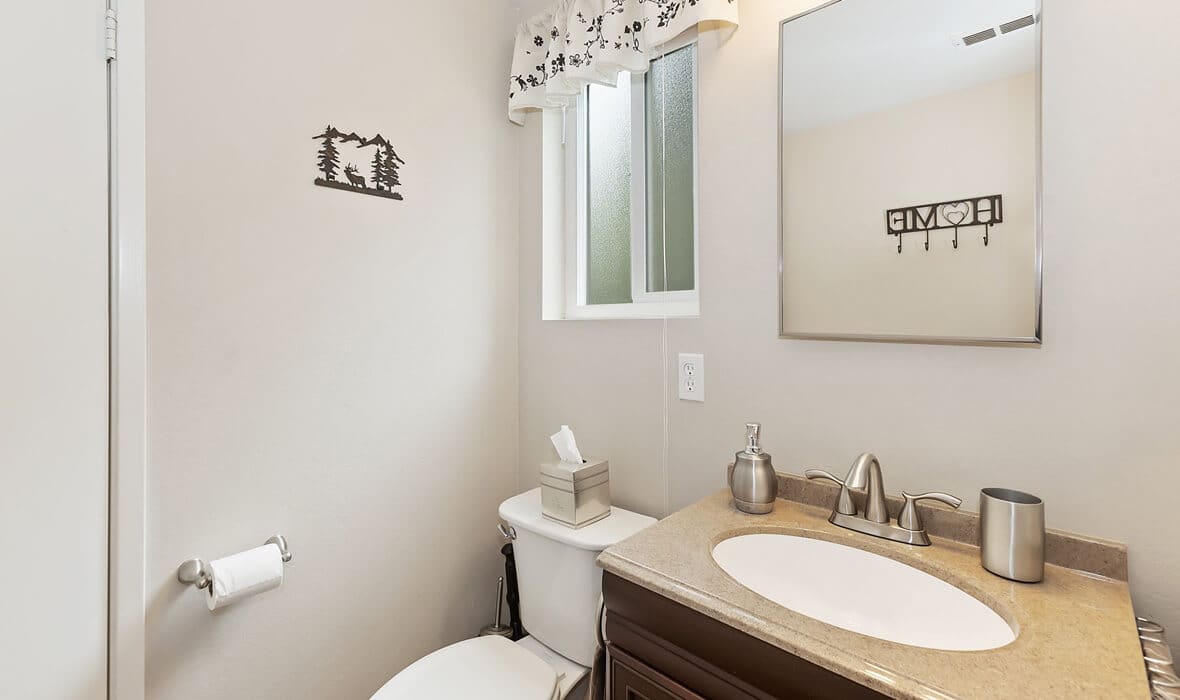 towering-cedars-and-whispering-pines_17