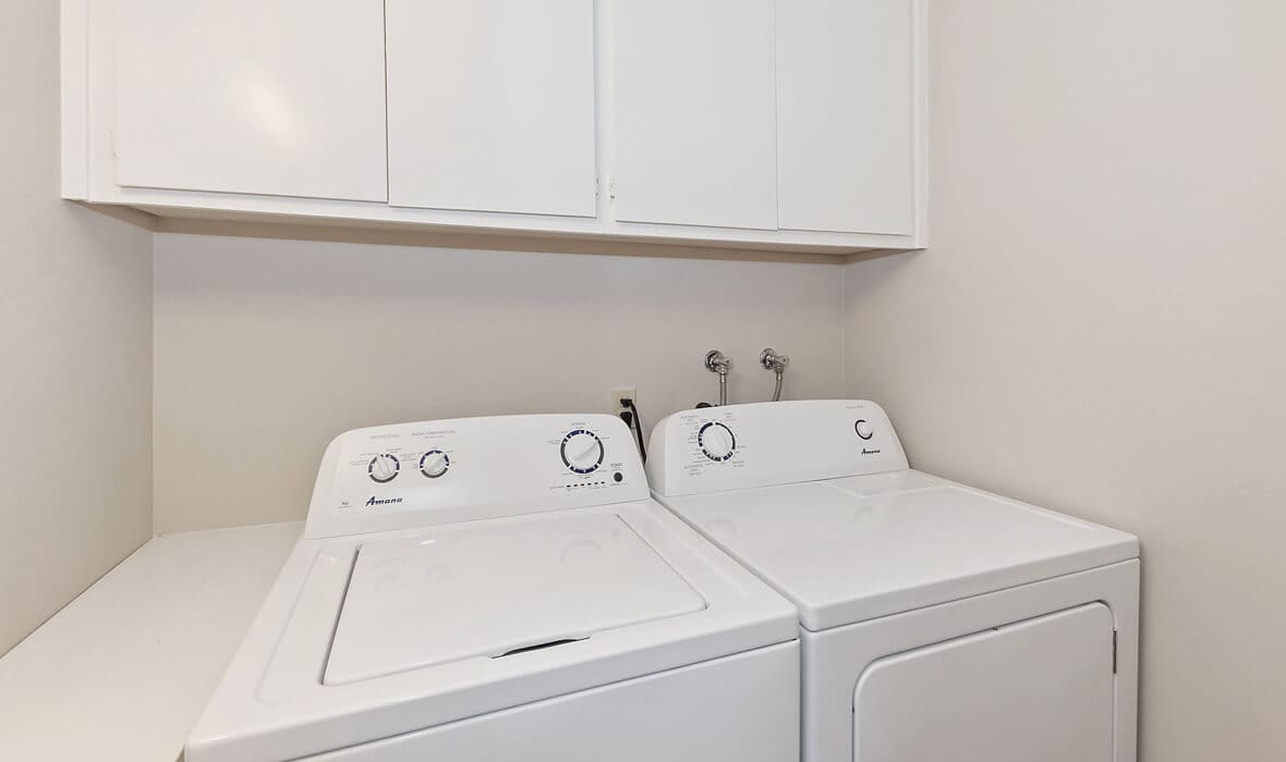 towering-cedars-and-whispering-pines_18