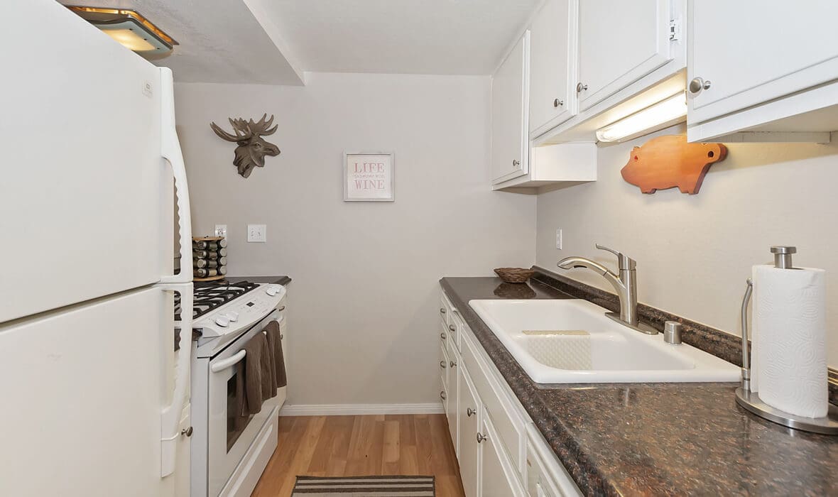 towering-cedars-and-whispering-pines_19