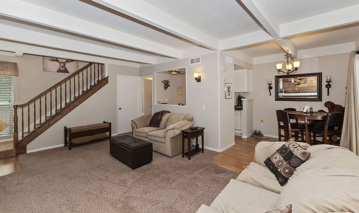 towering-cedars-and-whispering-pines_2