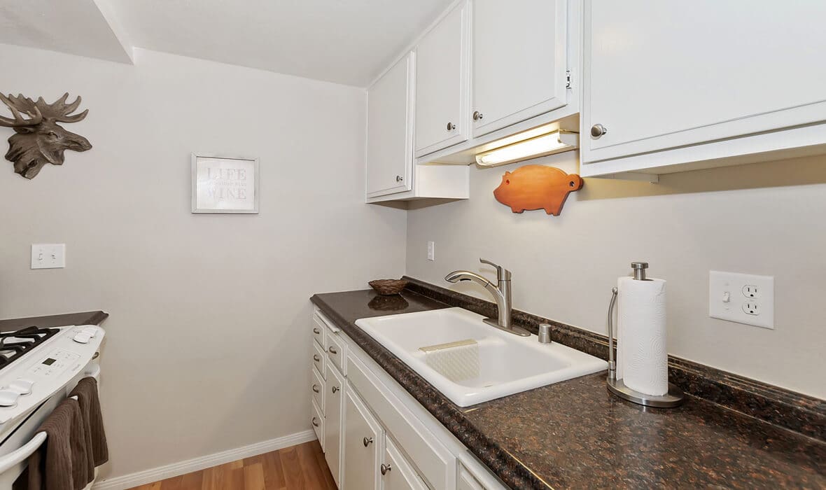 towering-cedars-and-whispering-pines_22