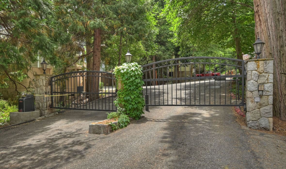 towering-cedars-and-whispering-pines_3