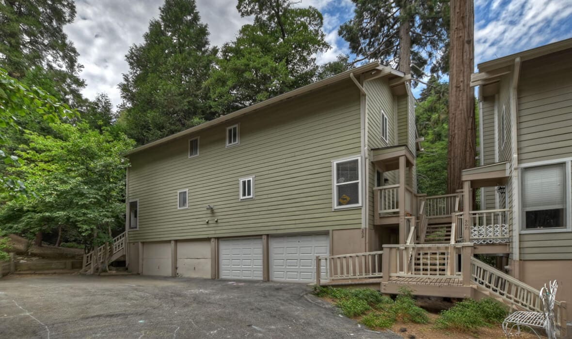 towering-cedars-and-whispering-pines_5