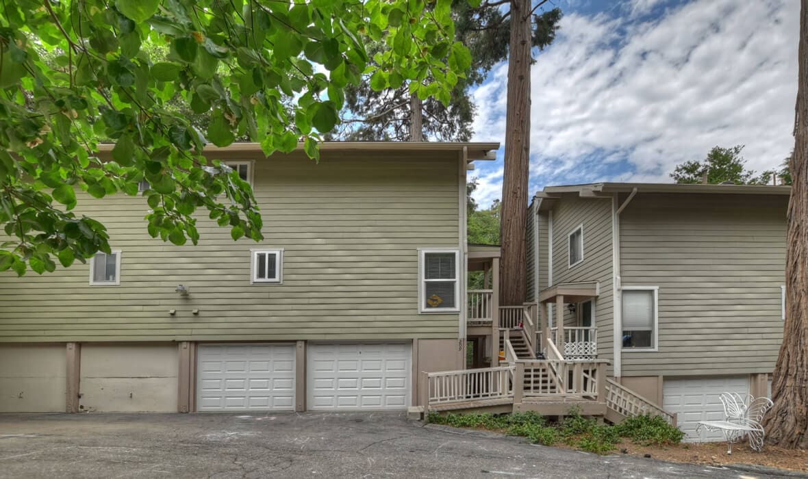 towering-cedars-and-whispering-pines_6