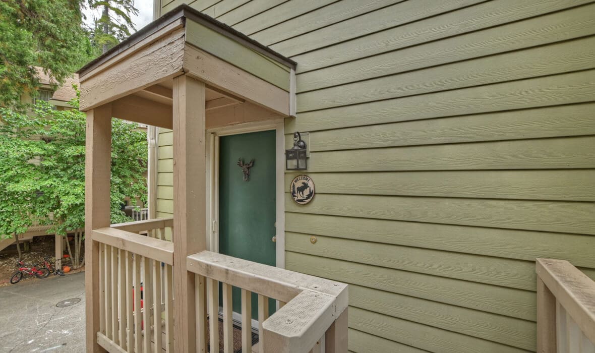 towering-cedars-and-whispering-pines_7