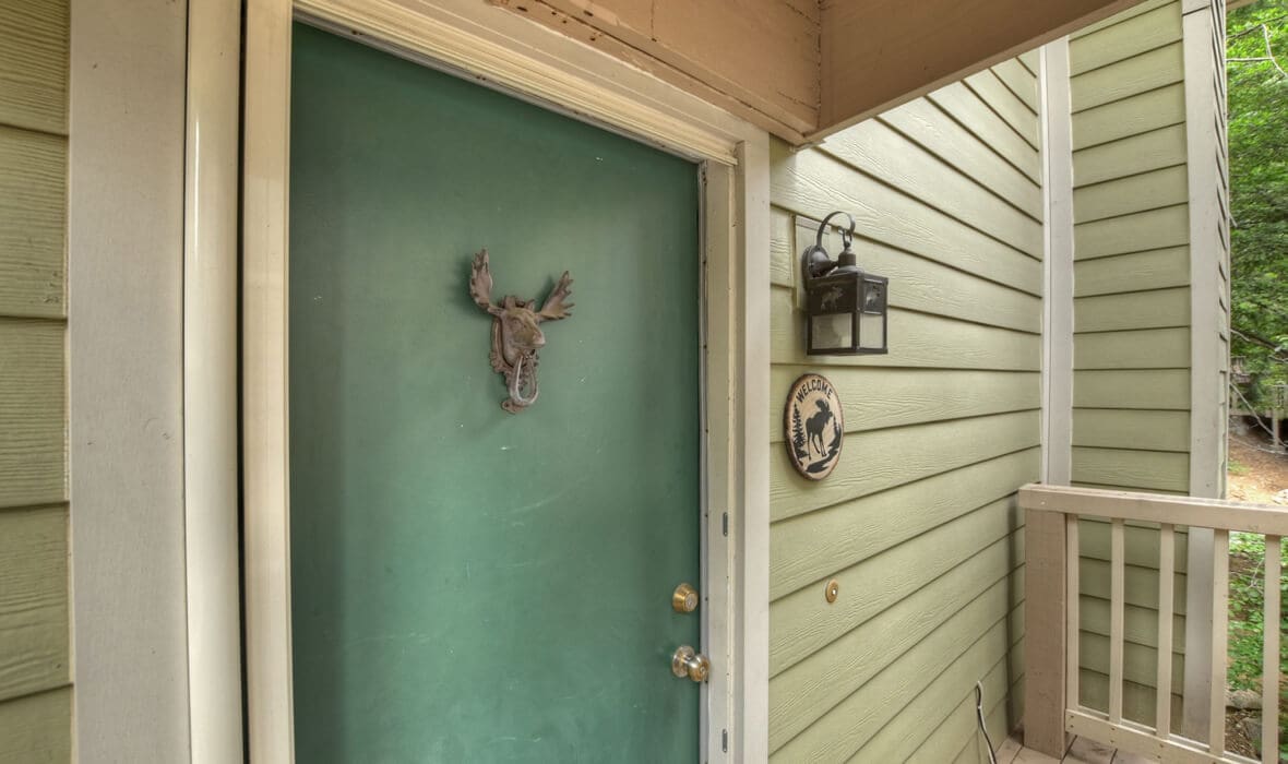 towering-cedars-and-whispering-pines_9