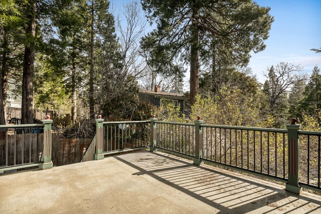 Maple2018 (1024×683)