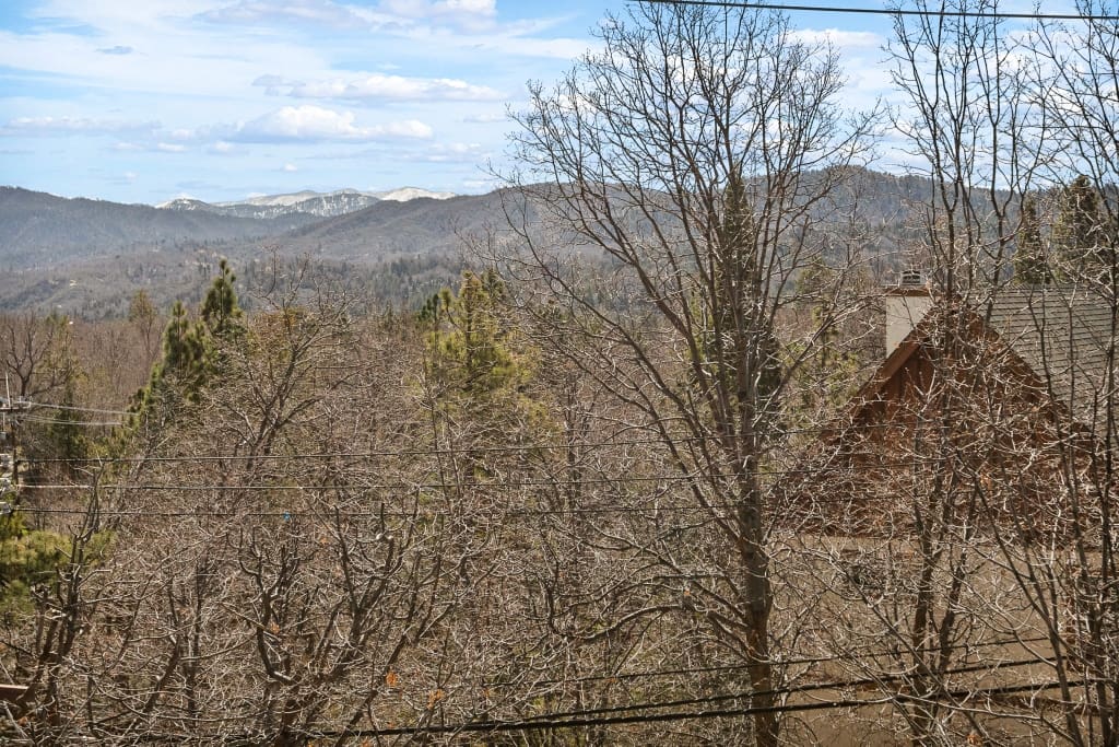 WShore2025 (1024×683)