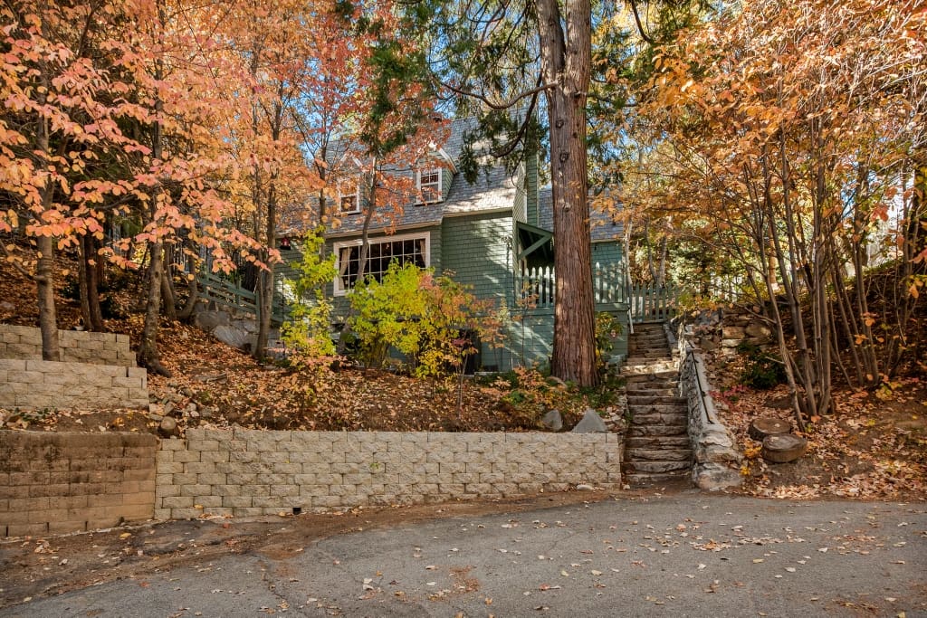 Flower2042 (1024×683)