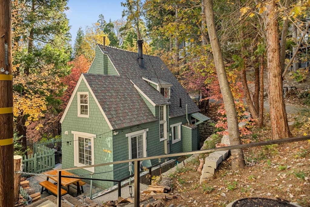 Flower2043 (1024×683)