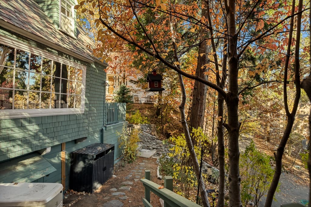 Flower2044 (1024×683)