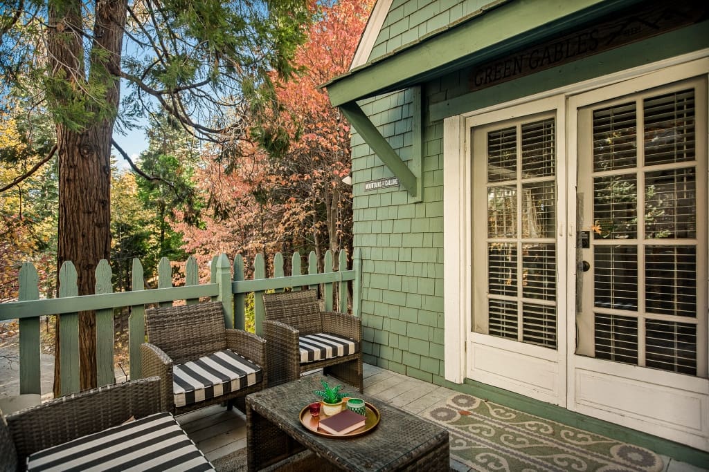 Flower2046 (1024×683)