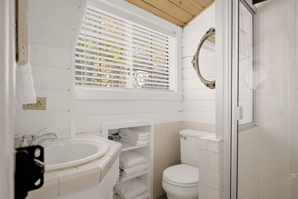 Flower2069 (1024×683)