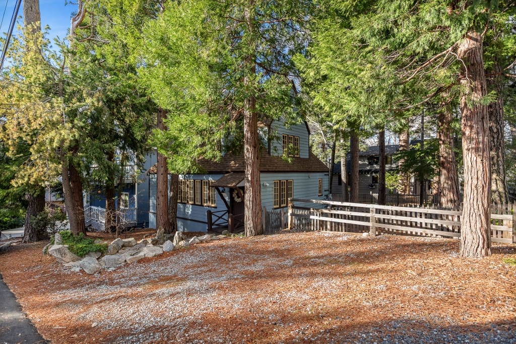 Helitrope2001 (1024×683)