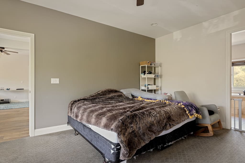 Krause2344 (1024×683)