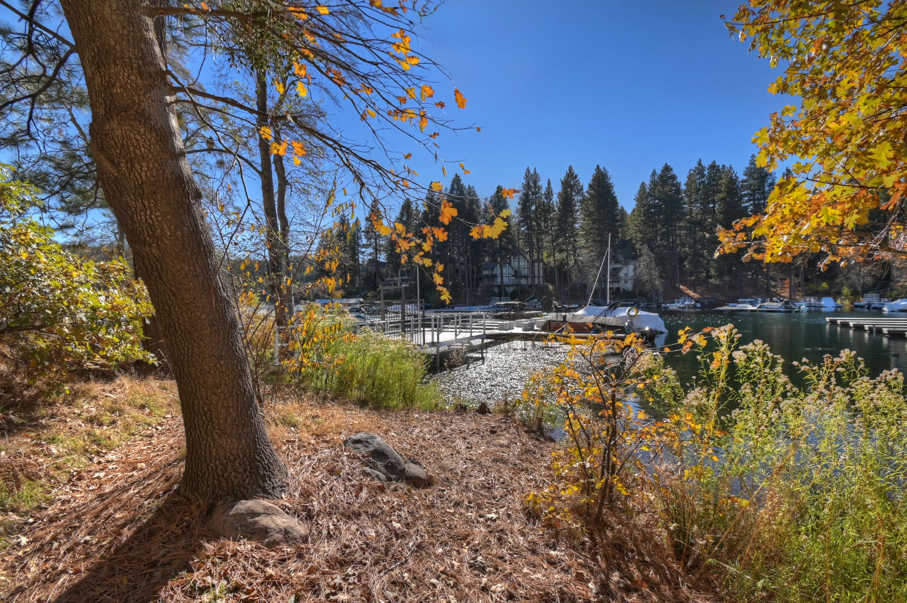 MSP_1409_10_11_12_13