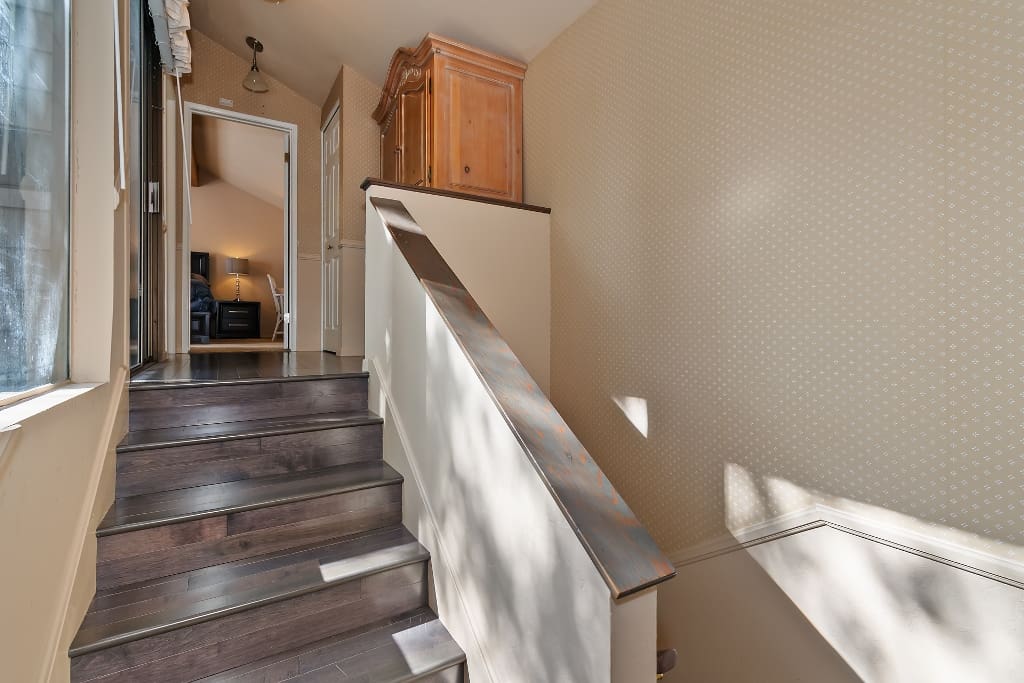 MSP_5685 (1024×683)