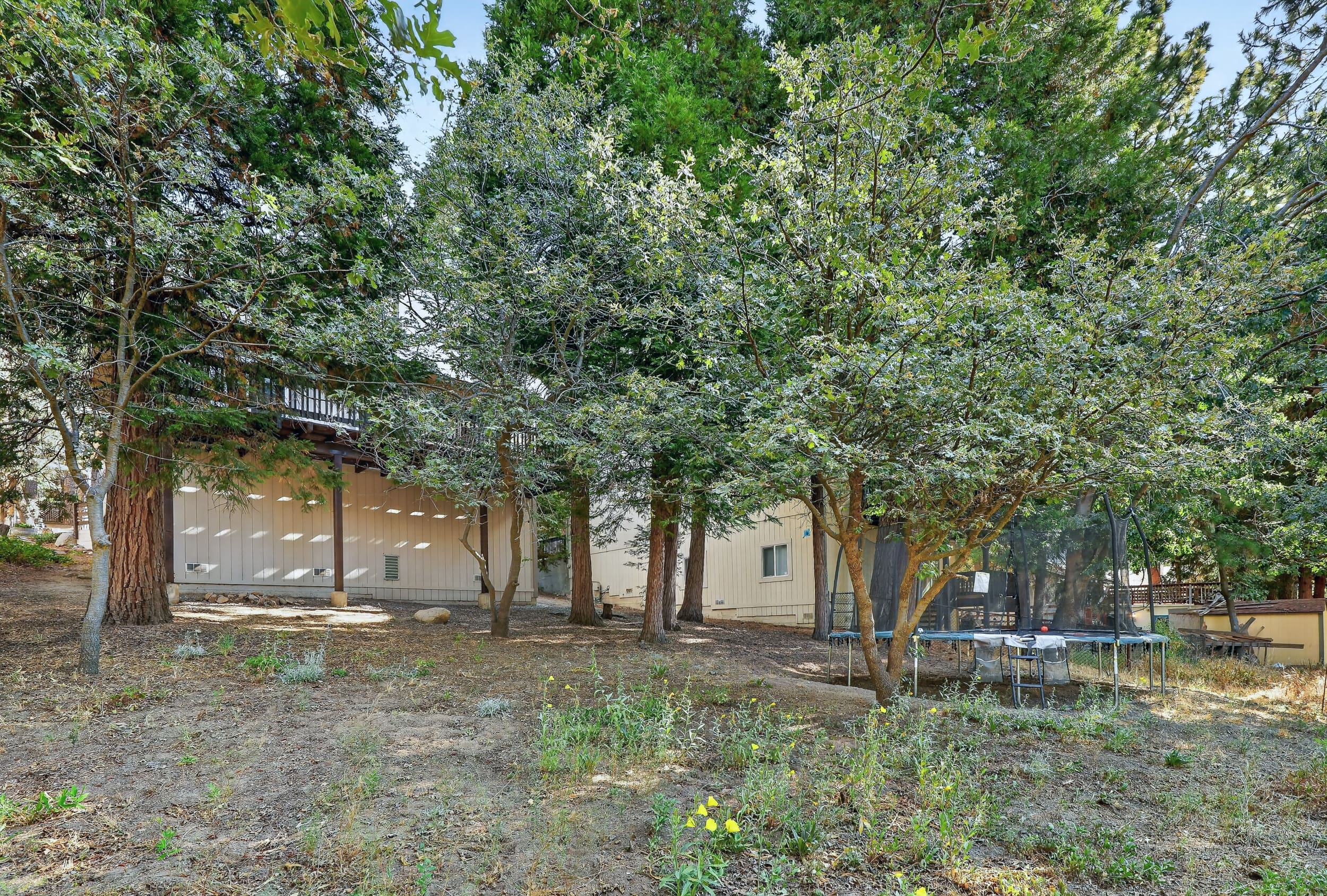 27441 meadow dr -051